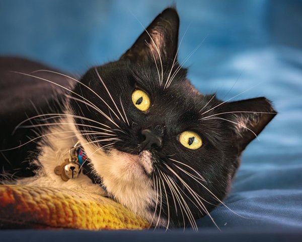 ¿Cuáles son las estrategias más efectivas para mejorar la productividad empresarial?